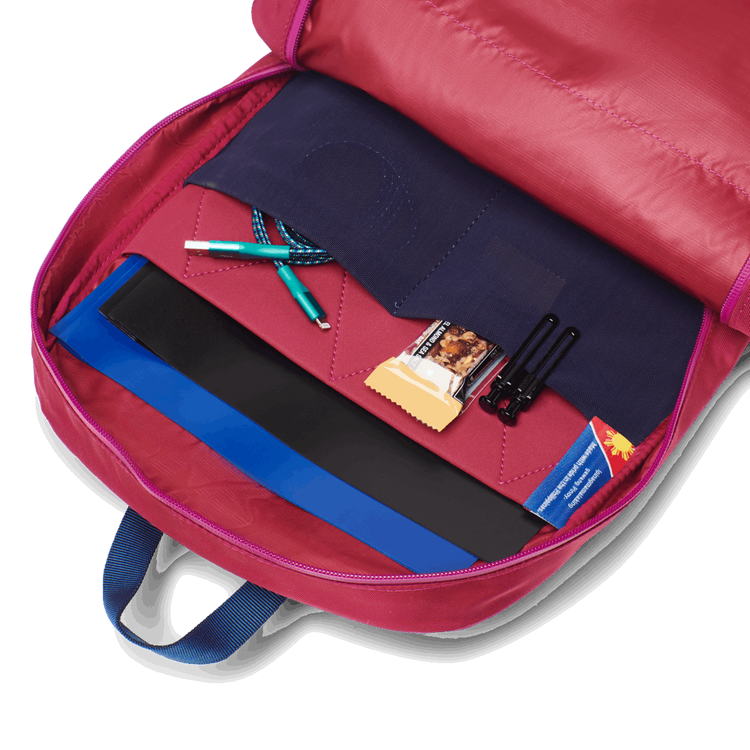 Cotopaxi Vaya 18L Backpack - Cada Día - Raspberry