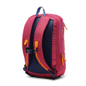 Cotopaxi Vaya 18L Backpack - Cada Día - Raspberry